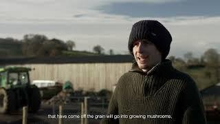 Pasture for Life Case Study - Haye Farm, Devon