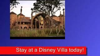 New DVC-RENTAL.com Promo Video