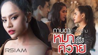 หมากับควาย : กานดา Rsiam [Official MV]