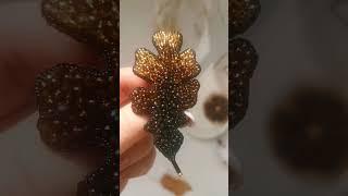 Брошь "Дубовый лист" в наличии #брошь #брошьлист #брошьдубовыйлист #осень