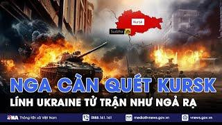 Nga càn quét Kursk; lính Ukraine tử trận như ngả rạ vì ‘mù’ tình báo - VNA