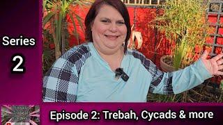 S2 E2 Freya's Tropical Garden: Trebah Part 2, Cycads and Garden Update