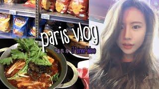 Paris vlog 프랑스 파리에서 훠궈 뷔페. 디저트사러가기 에펠탑보기