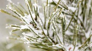 First News Weather Update