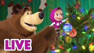  LIVE! Maşa İle Koca Ayı Bir  Noel ağacı nasıl süslenir?  Masha and the Bear