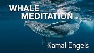 Whale Meditation