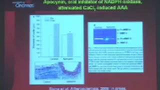 The Role of Oxidative Stress and AAA Pathobiology