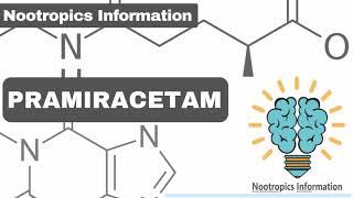 #Pramiracetam - #Nootropics Information