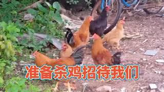 Which chick will be eaten first? What is the law of existence. Zhuangzi story Zhuangzi