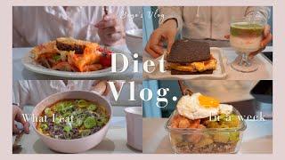 [Diet Vlog 44] 獨居女生的健康餐 明太子蝦仁雜穀便當 健人必試·高蛋白燕麥粥 肉碎豆腐烘蛋/蟹柳蛋包吐司/蔥燒牛肉便當