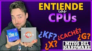 Mitos de la CPU #2 - ENTIENDE LAS CPUs: Nomenclaturas y CACHÉ - Mitos del Hardware #22