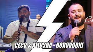 CECO & ALIOSHA & TANGRA FOLK - HOROVODNI CIGANSKI PESNI - LIVE - GIGEN |QNICE, QNICE MIX|