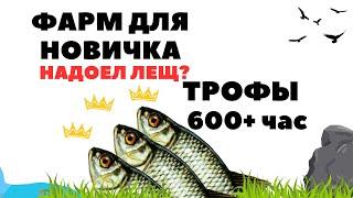 Фарм для новичков 600+ монет в час РР4 / Русская рыбалка 4