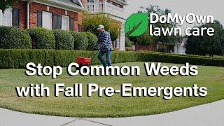 Stop Common Weeds with Fall Pre-Emergent Herbicides! DoMyOwn.com