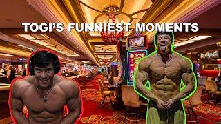 TOGI'S FUNNIEST MOMENTS