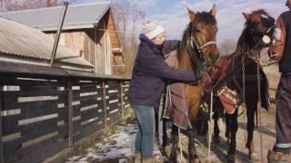 Die Pferderetter in Rumänien Folge 2 -  Team Equiwent rückt aus