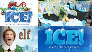 Gaylord Palms ICE ELF 2024! Experience the Magic!