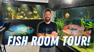 All of My Aquariums & Fish! Big Plans, New Fish, & Changes