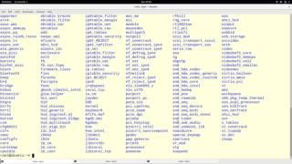 Modifying Linux Kernel Module Parameters