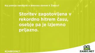 Kaj pravijo naročniki o prenosu domen k Žabcu?