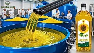 How Sunflower Oil Is Made - Amazing Harvest of Billions Pounds of Sunflowers