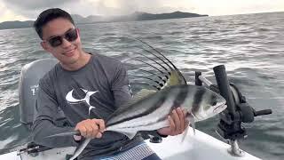 Rooster fishing in Flamingo, Costa Rica with CR Fishing Charters