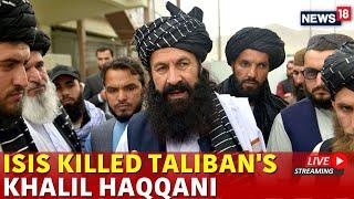 LIVE Khalil Haqqani Killed | Taliban Minister Killed In Afghanistan | Afghanistan News Live | N18G