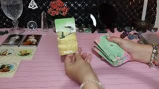 QUANTO MAIS ESSA PESSOA DESEJA O TEU MAL MAIS VITÓRIAS VIRÃO NO TEU CAMINHO. #cartomante #tarot