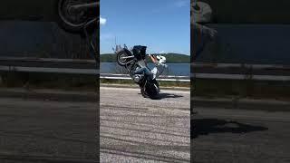 #harleywheelies