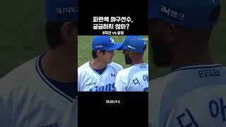 파란색 야구선수. 궁금하지 않아?