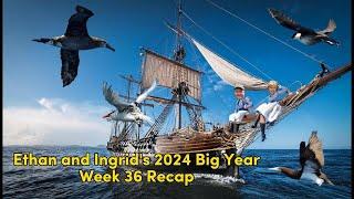 Ethan and Ingrid's 2024 Big Year (Week 36)