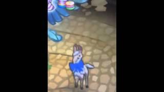 An llama speed dancing