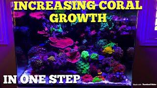 Increasing Coral Growth One Easy Step