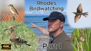 Rhodes, Greece, Birdwatching Part 1. Canon R7 & RF 200-800mm lens. September 2024. 4K