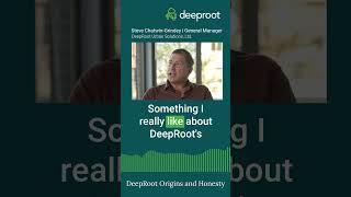 DeepRoot: Origins and Honesty