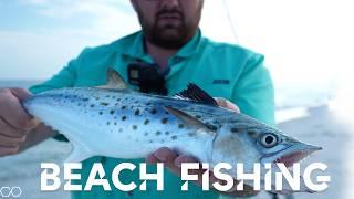 Multi-species beach fishing [Bigger Waters Part 1.]