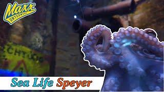 Sea Life | Speyer | Gut oder einfach nur teuer?! | Der große Check | 2024