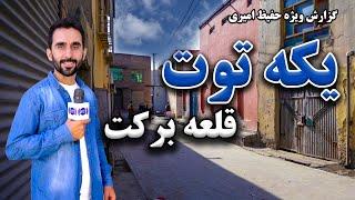Qalae Barakat, Yaka Toot in Hafiz Amiri report /  قلعه برکت، یکه توت در گزارش حفیظ امیری