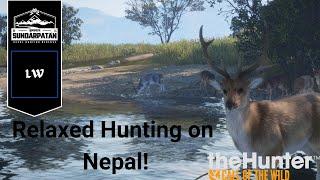 Sundarpatan Relaxed Hunt & Channel update!   - Thehunter Call of the Wild