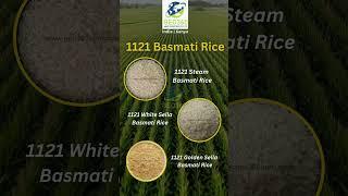 Geo360 Agro Industries Private Limited | Rice-Manufacture | Export | Logistics | Overseas