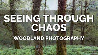 Woodland Photography - Seeing Through Chaos