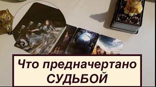 Что предназначено  СУДЬБОЙ Карты скажут  Таро Онлайн Расклад/ Таро DIAMOND WAY