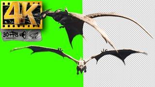 Flying Dragon | Monster Green Screen - Footage 4K