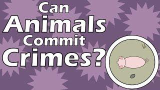 Can Animals Commit Crimes?