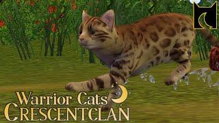 A Sleepy Day Within Crescentclan  | Warrior Cats Sims 3 Challenge #warriorcats #sims3challenge