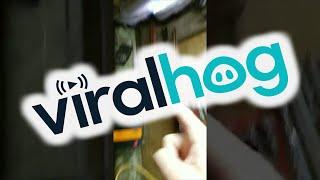 Doing The Toolshed Checklist || ViralHog