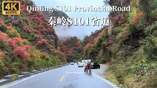 Driving on the picturesque Qinling S101 Provincial Road - Shaanxi Province, China - 4K HDR