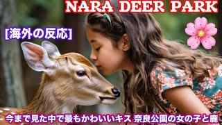 [海外の反応] Cuteness: Nara Deer Meets Baby | Nara deer | Nara deer park