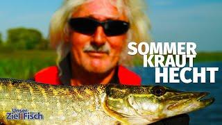 ALLES dreht sich ums KRAUT - mit SPINNERBAITS auf HECHT - Unser Ziel ist Fisch mit Jörg Ovens