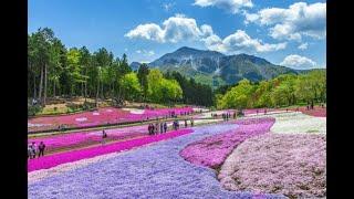 旅行: Japan Saitama 日本埼玉县 的热门旅游景点 (3 Minutes)